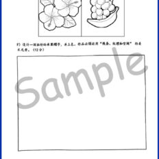 Std-3-PSV-Sample-Page-V2