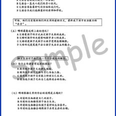 Zekolah-Form-3-Year-End-BC-Sample-V1