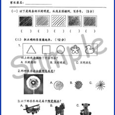 Std-2-PSV-Sample-Page-V1