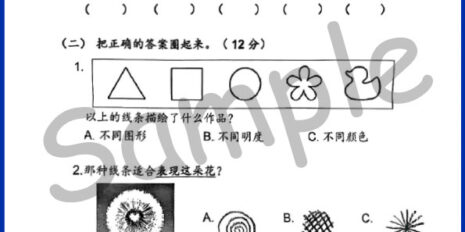 Std-2-PSV-Sample-Page-V1
