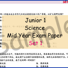 PYP-Mid-Jr-1-SC-Sample-Page